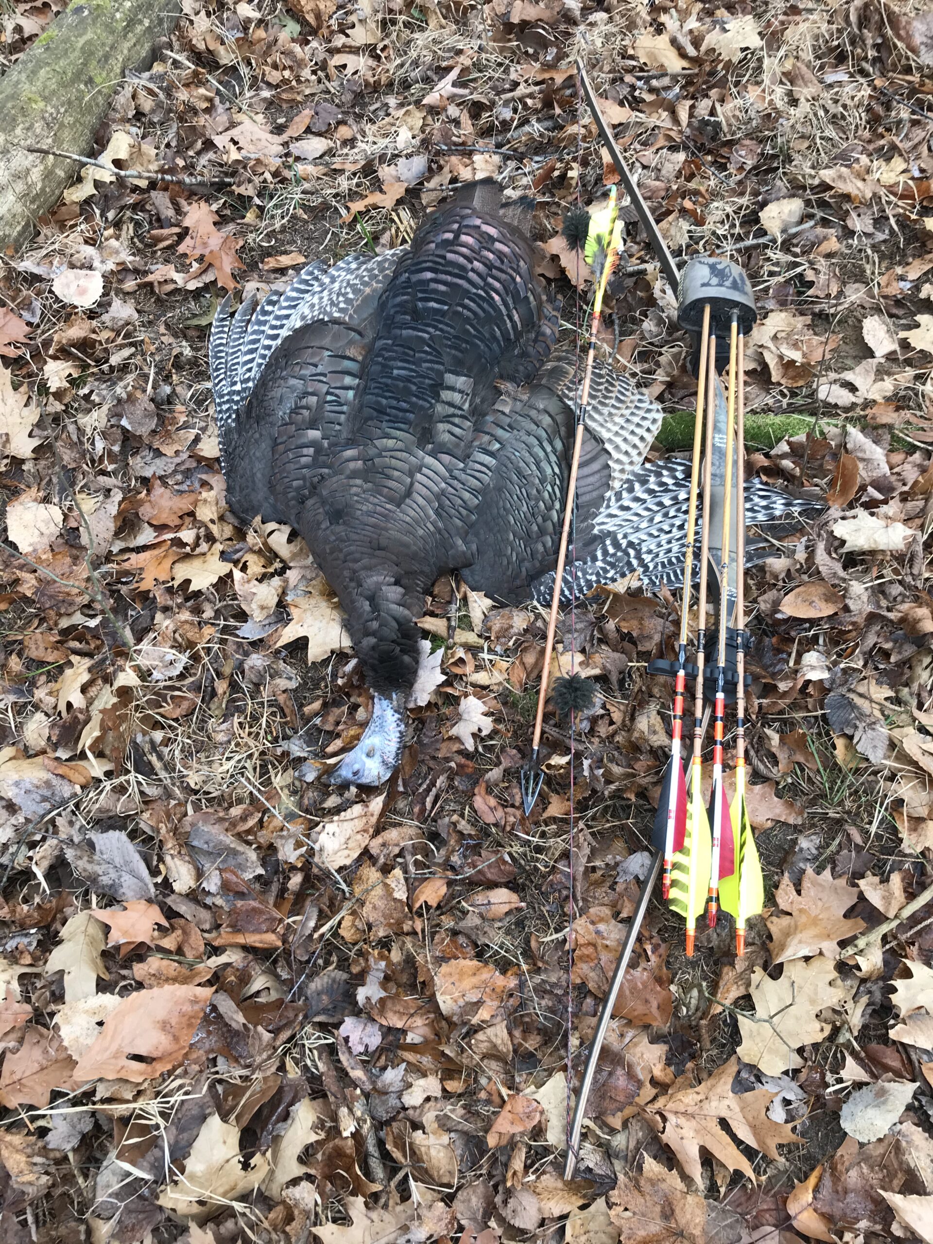 Trophy Room Kalamazoo Bow Works