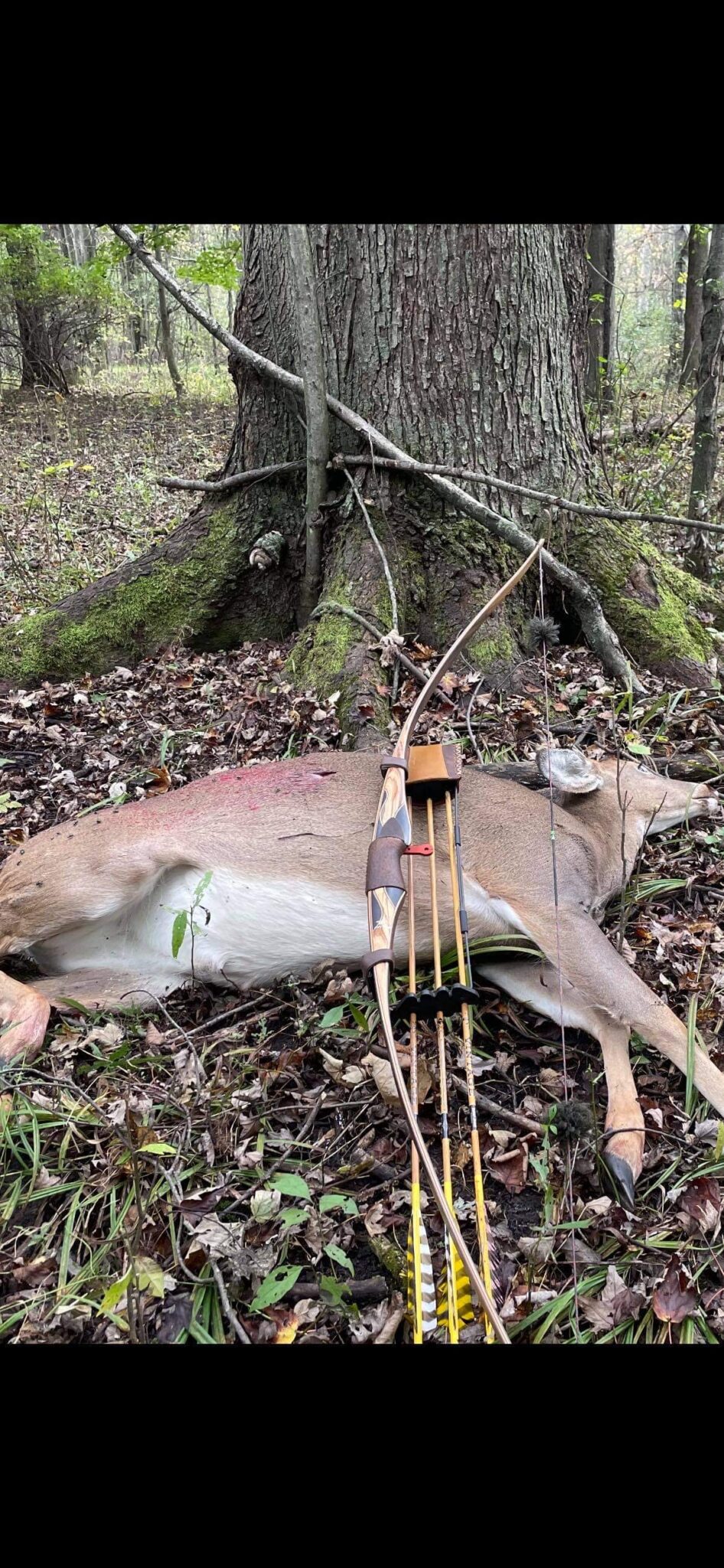 Trophy Room Kalamazoo Bow Works