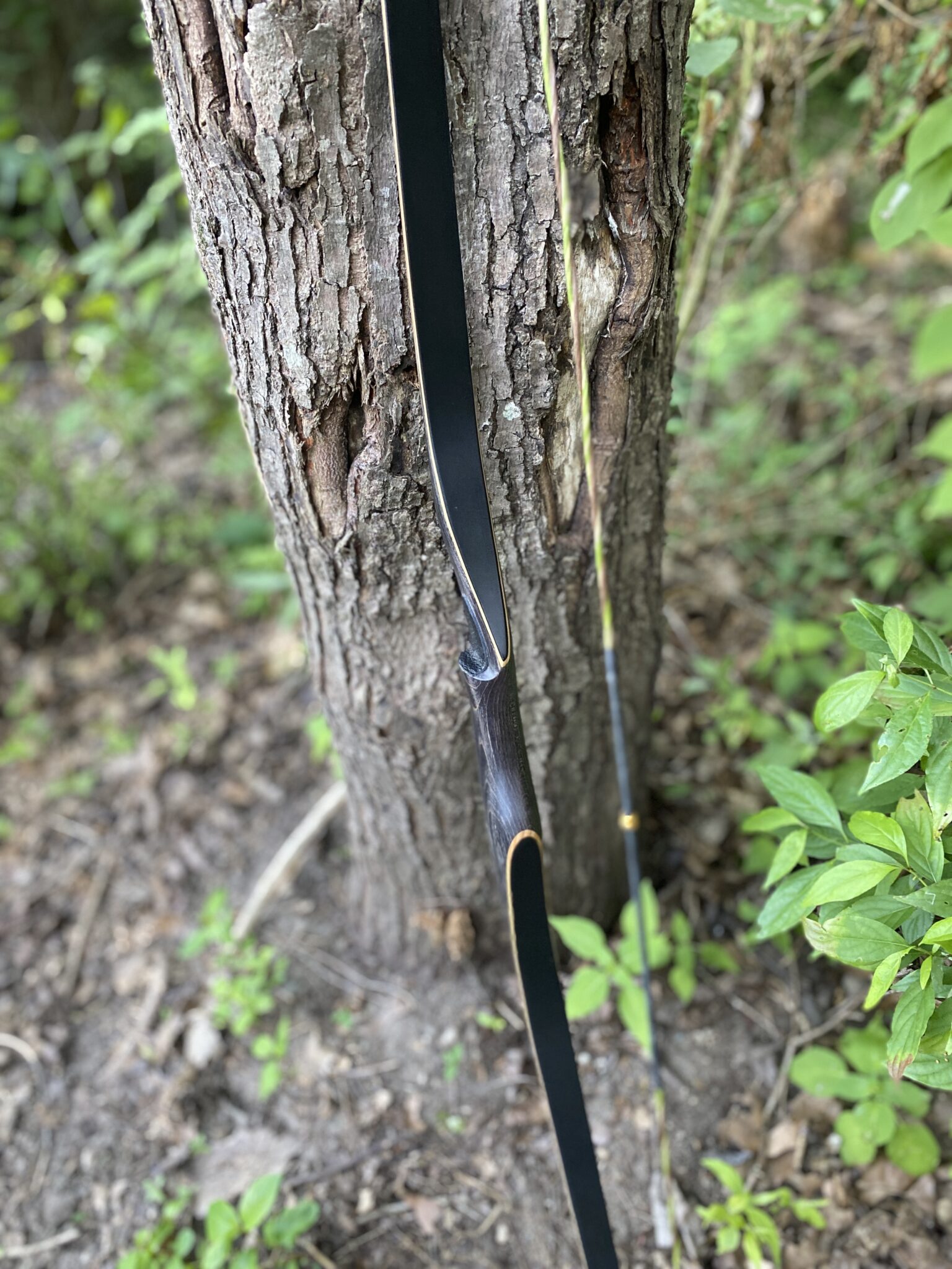 Arcadia Longbow Kalamazoo Bow Works